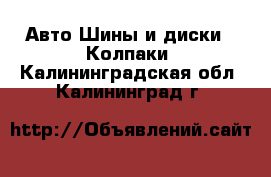 Авто Шины и диски - Колпаки. Калининградская обл.,Калининград г.